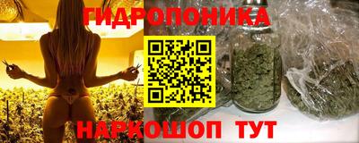 кокс Новокубанск