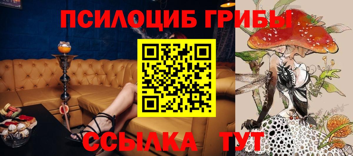 Псилоцибиновые грибы прущие грибы  Вход с VPN  Солнечногорск 